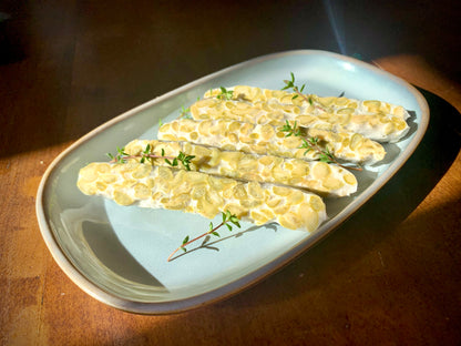 Corso sull'autoproduzione del tempeh