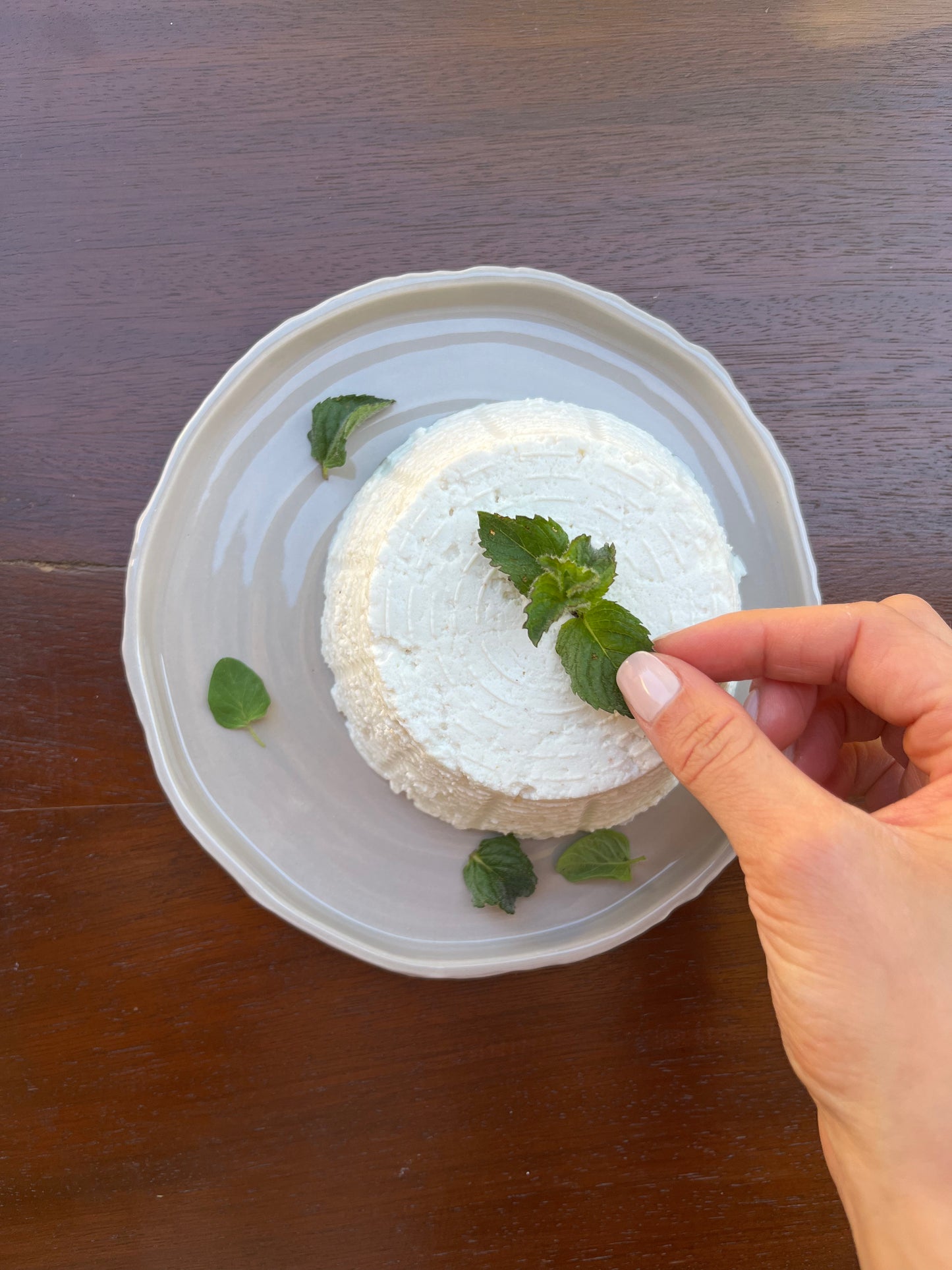 Corso sulle Alternative Vegetali ai Formaggi