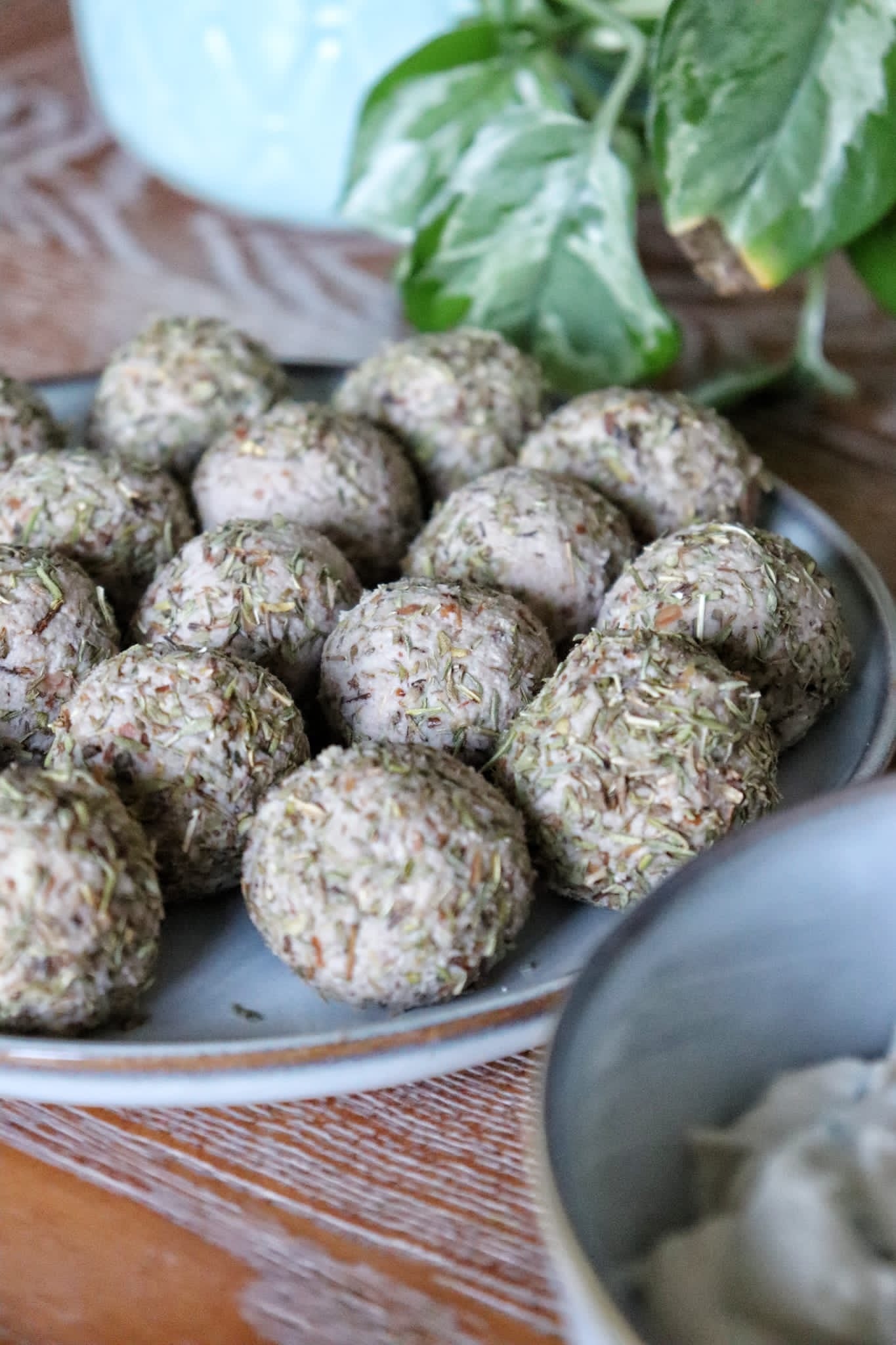 Corso sui formaggi vegetali