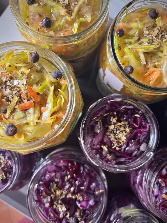 Corso sulle Verdure Fermentate