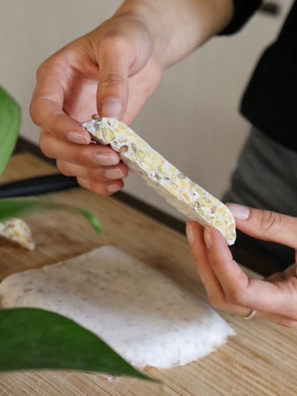 Corso sull'autoproduzione del tempeh
